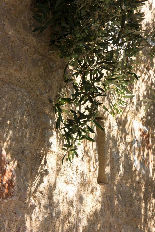 Orfea'S Place Riglia Exterior photo